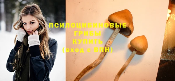 гидропоника Пролетарск